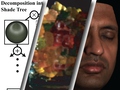 [Principles of Appearance Acquisition and Representation]