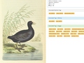 [The British Library Big Data Experiment: Experimental Interfaces, Experimental Teaching]