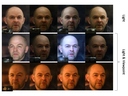 [PhotoApp: Photorealistic Appearance Editing of Head Portraits]