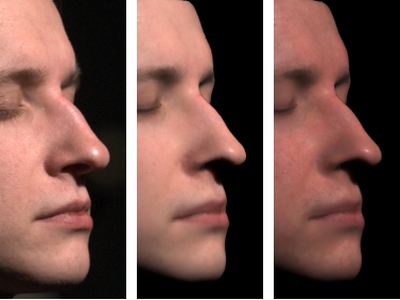 [Acquisition of Human Faces Using A Measurement-Based Skin Reflectance Model]