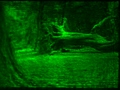 [Metameric Varifocal Holography]