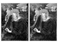[Correction of Dropped Frames in High-Resolution Push-Broom Hyperspectral Images for Cultural Heritage]