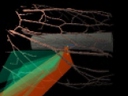 [Haptic mediation of risk potentials over a soft tissue data set]
