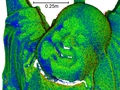 [Anisotropic Point-Based Fusion]