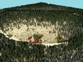 [Guided Ecological Simulation For Artistic Editing of Plant Distributions In Natural Scenes]