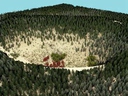 [Guided Ecological Simulation For Artistic Editing of Plant Distributions In Natural Scenes]
