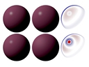 [Image-based Remapping of Material Appearance]