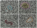 [Blind Localization and Clustering of Anomalies in Textures]